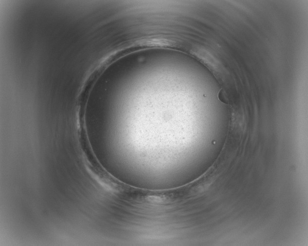 X0000071970302200607212325