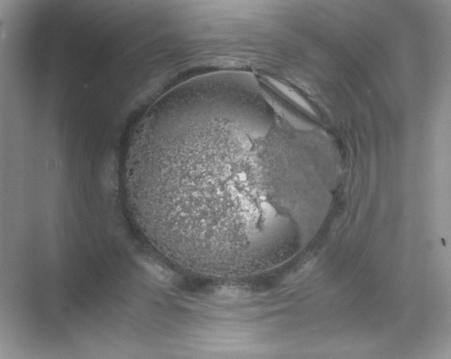 X0000071970303200607212325