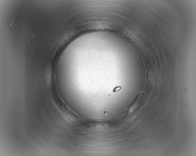 X0000071970304200607212325