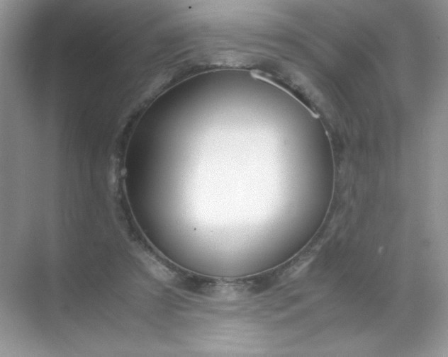 X0000071970305200607212325