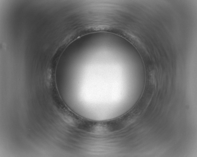 X0000071970308200607212325