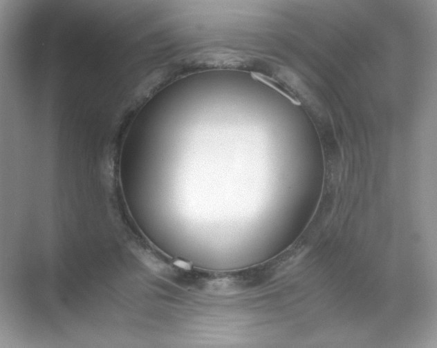 X0000071970309200607212325