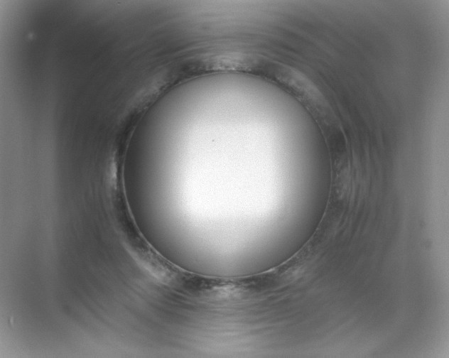 X0000071970310200607212325