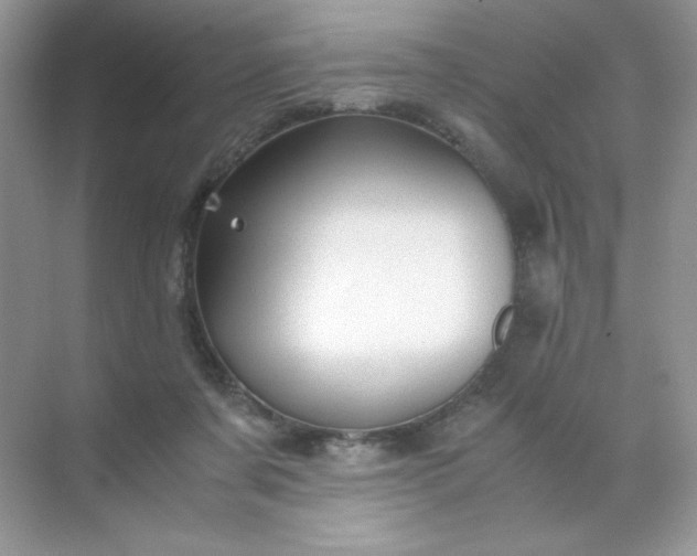 X0000071970311200607212325