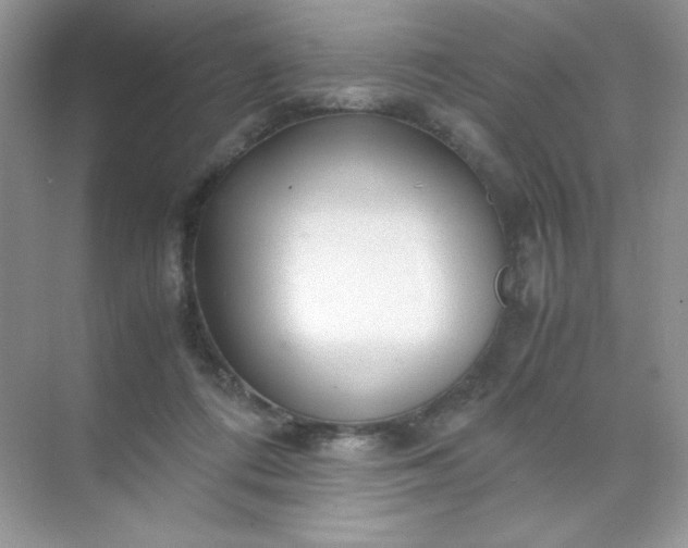 X0000071970312200607212325