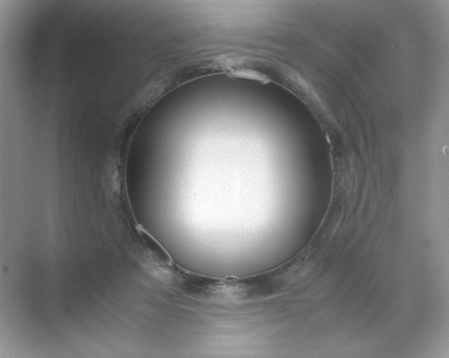 X0000071970313200607212325