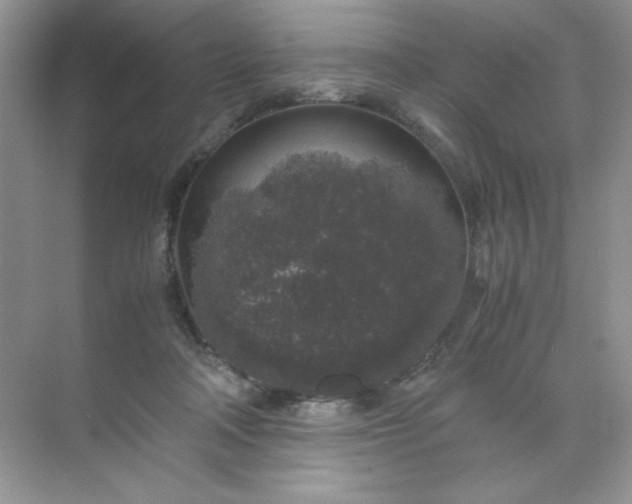 X0000071970314200607212325