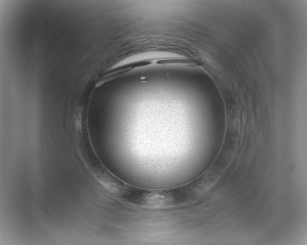 X0000071970315200607212325