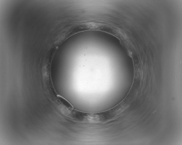 X0000071970317200607212325