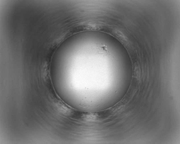 X0000071970318200607212325