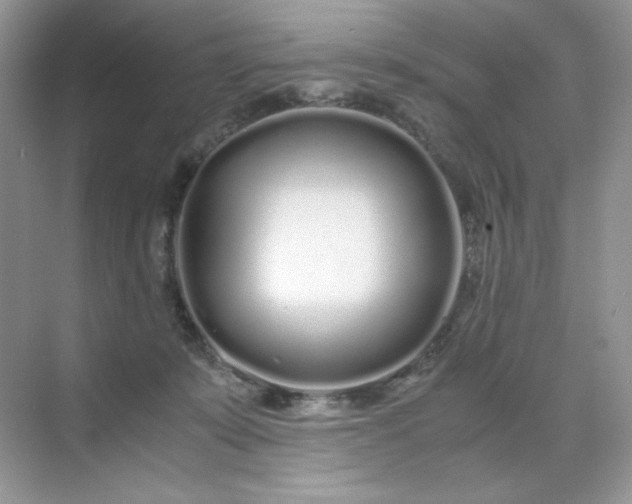 X0000071970319200607212325