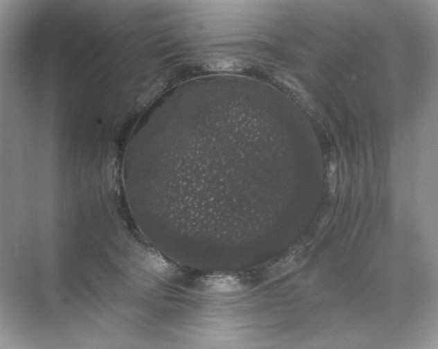 X0000071970322200607212325