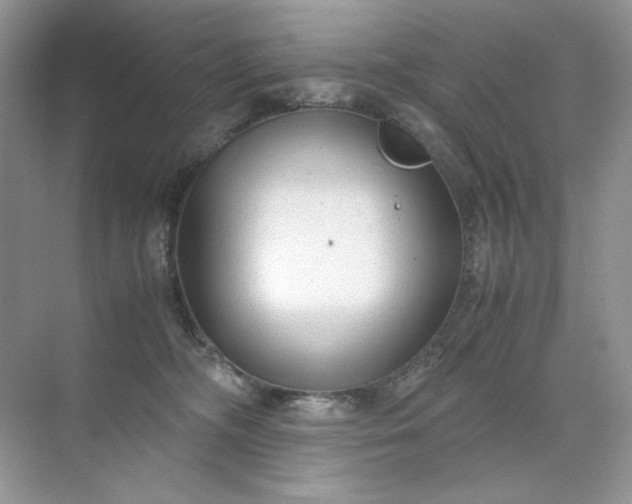 X0000071970326200607212325