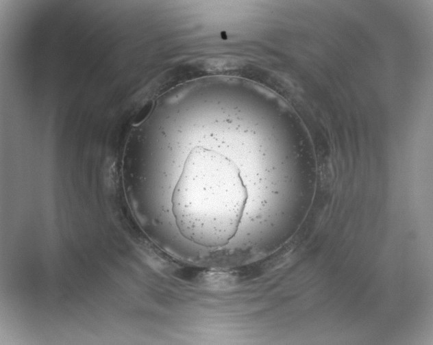 X0000071970327200607212325