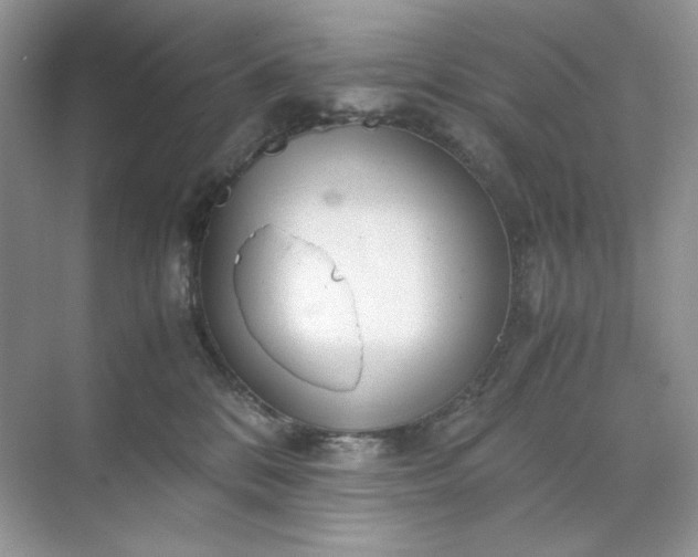 X0000071970328200607212325