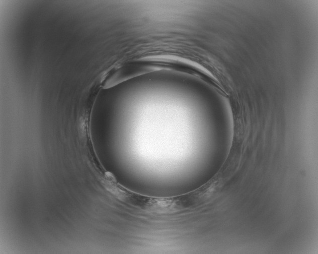 X0000071970329200607212325