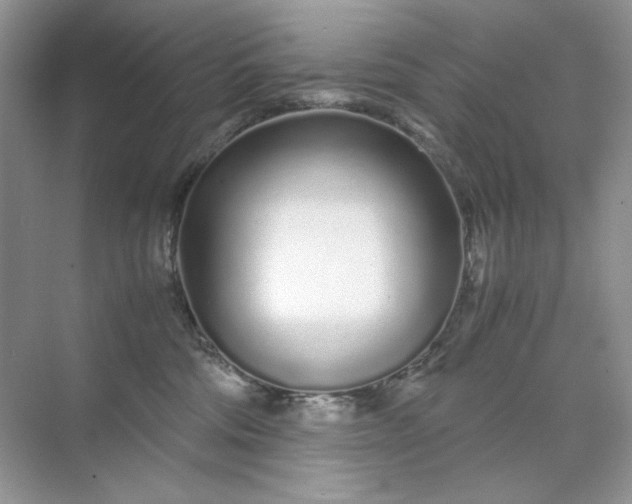 X0000071970330200607212325