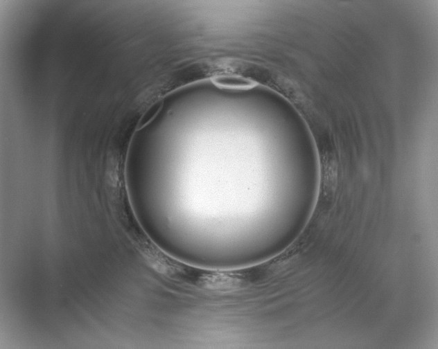 X0000071970331200607212325