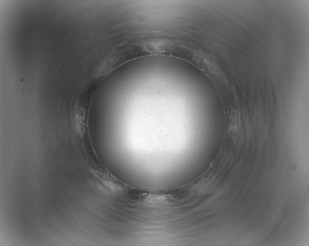 X0000071970332200607212325