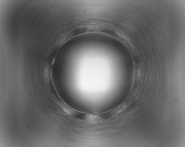 X0000071970333200607212324