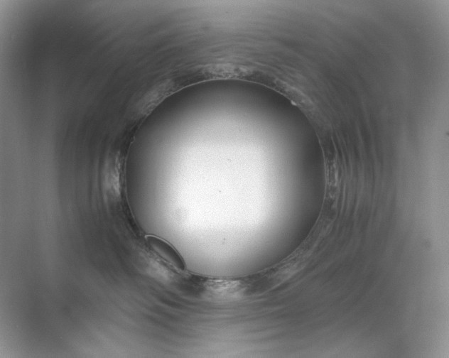 X0000071970334200607212324