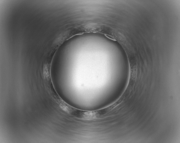 X0000071970335200607212324