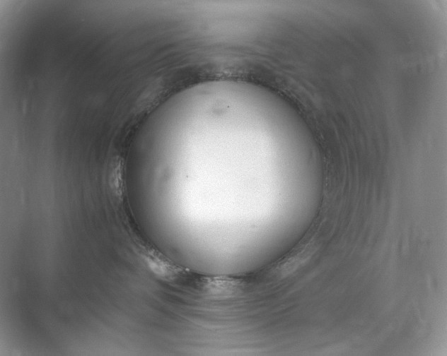 X0000071970336200607212324