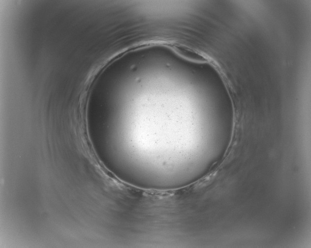 X0000071970337200607212324