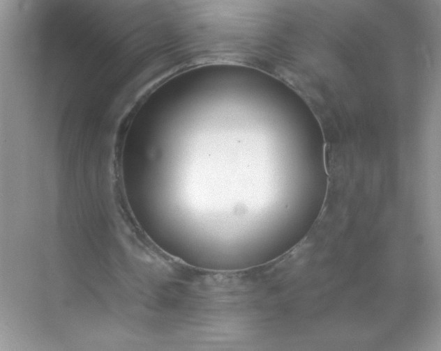 X0000071970338200607212324