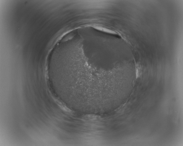 X0000071970339200607212324