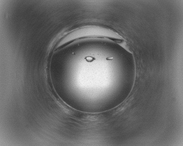 X0000071970341200607212324