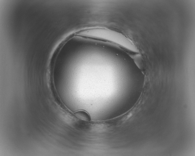 X0000071970342200607212324