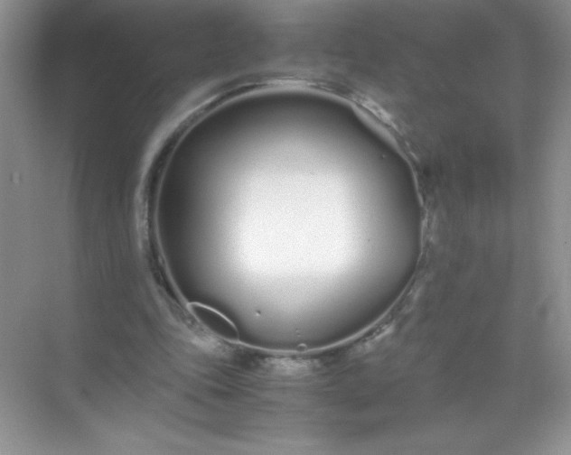 X0000071970343200607212324