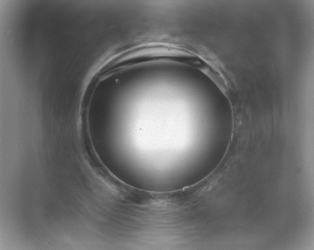 X0000071970344200607212324