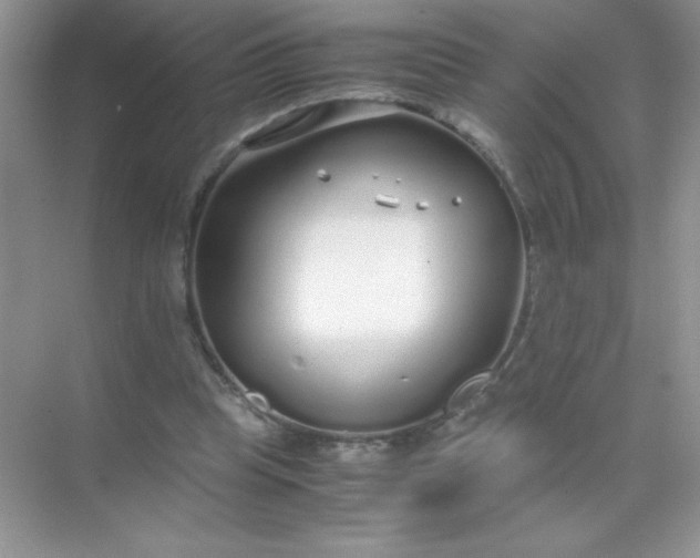 X0000071970345200607212324