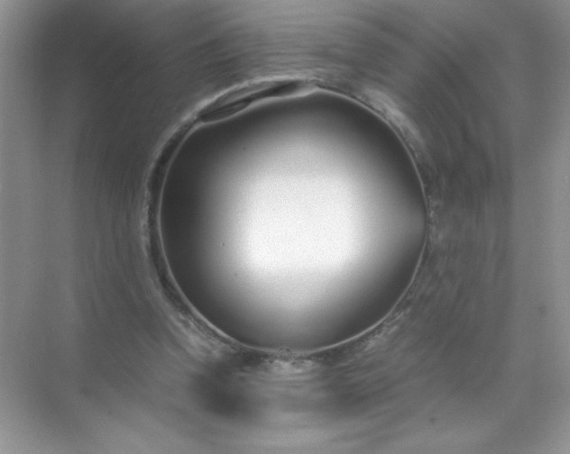 X0000071970346200607212324