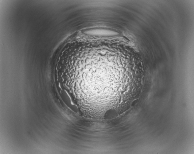 X0000071970347200607212324