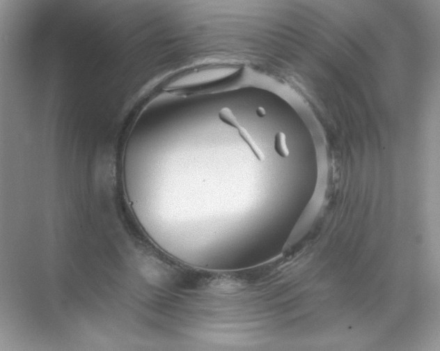 X0000071970348200607212324