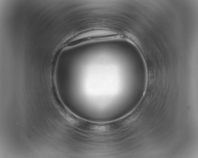 X0000071970349200607212324