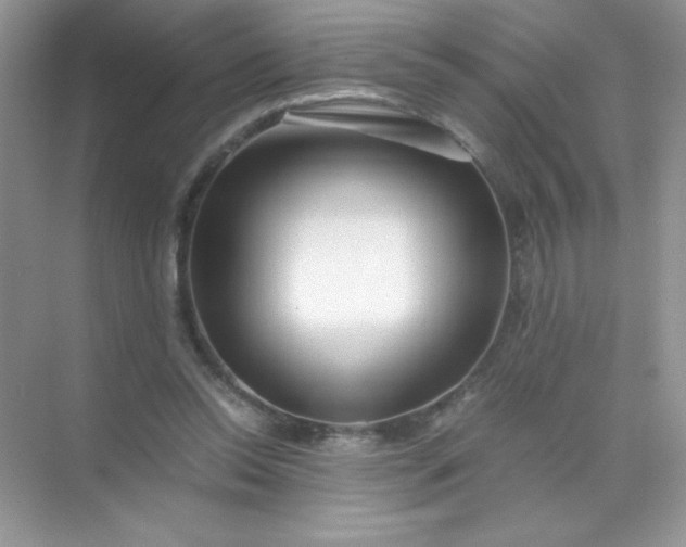 X0000071970350200607212324