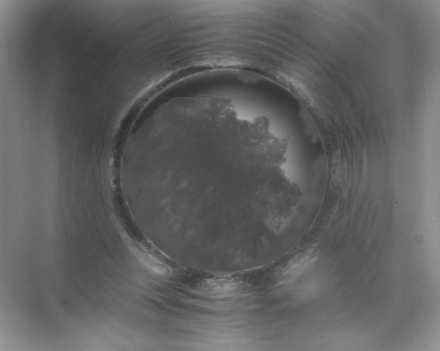 X0000071970351200607212324