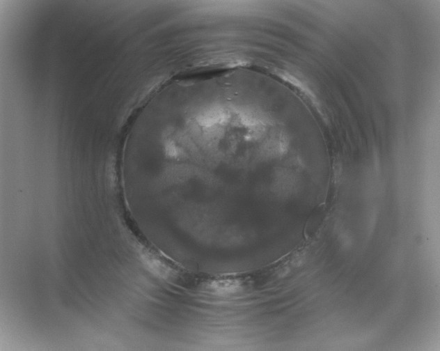 X0000071970353200607212324