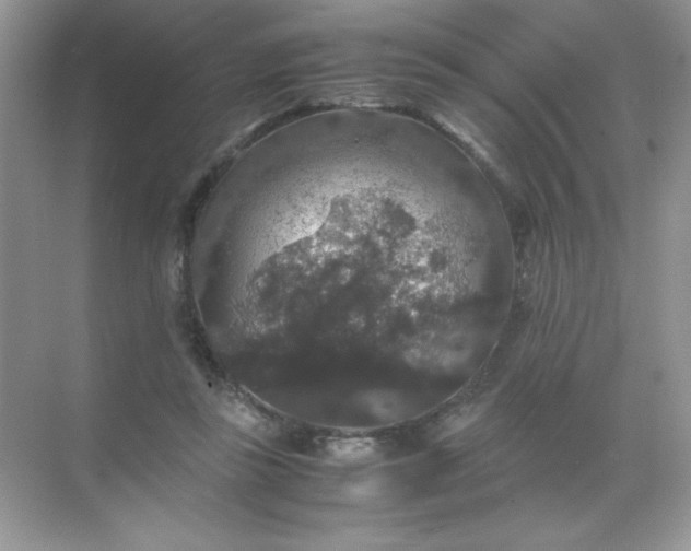 X0000071970355200607212324