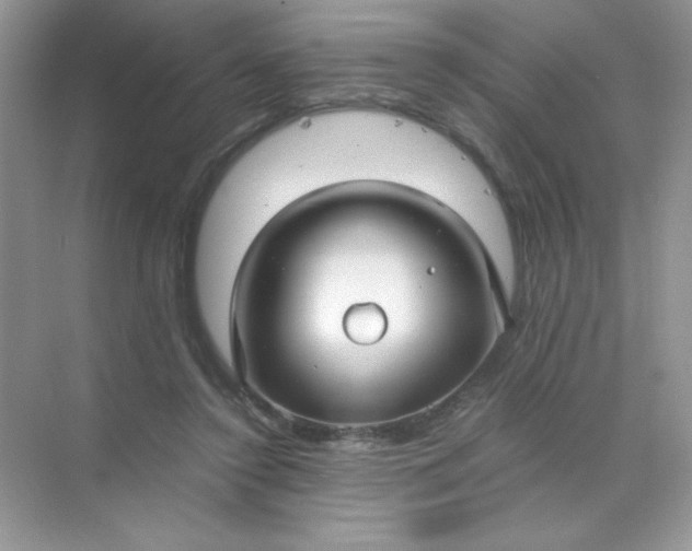 X0000071970356200607212324