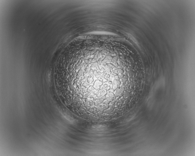 X0000071970357200607212324