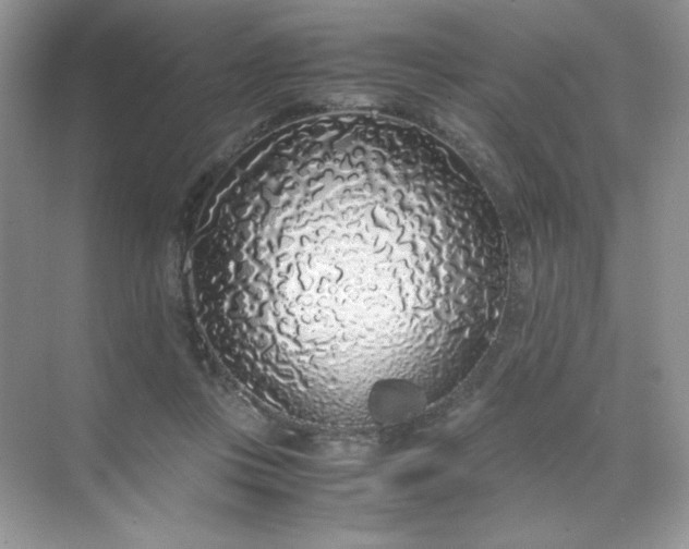 X0000071970359200607212324