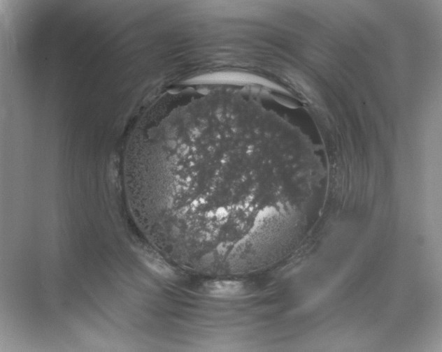 X0000071970361200607212324