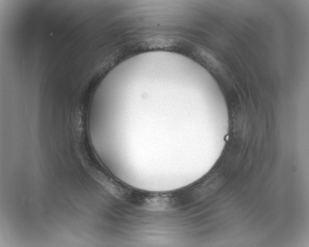 X0000071970362200607212324