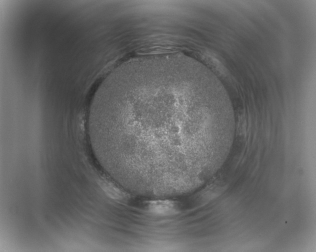 X0000071970363200607212324