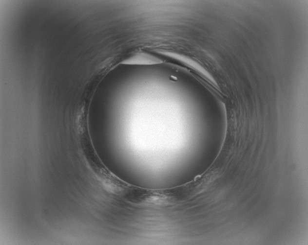 X0000071970364200607212324